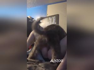 frau missbrauch, hundsex, tierisch wild