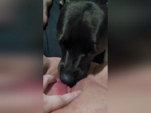 Doggy Dirty: Girl Drinks My Pee, Extreme
