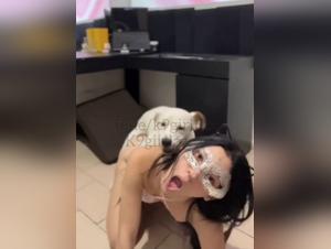 H hund Sex, Animalpornrocks Hardcore