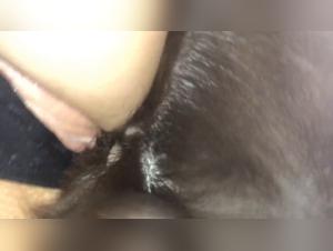 veronica bestialita sessuale estrema