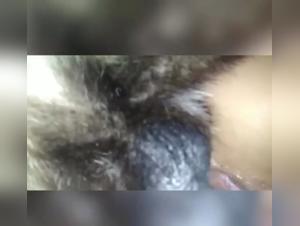tamed by a raging dog