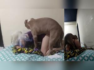 Frau & Hund - Hardcore Sexe