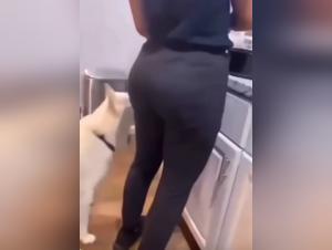 燃える犬のお尻