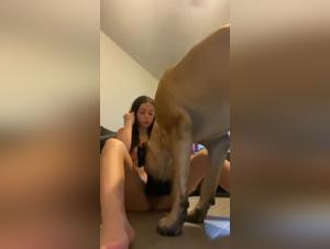 Kvinna Hund Sex Tele-Anti