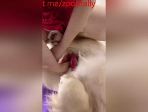 chinesisches paar tiersex, videos xxx