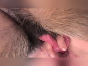 tierliebe im freien, junge tierliebe