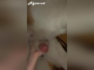 rubia chupe duro palo de perro salvaje