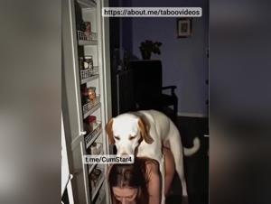 Perro Abusa: Chica y Bestialia