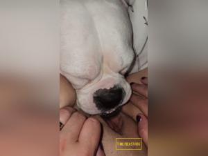 bacio con cane, passione bestiale