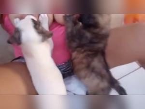 Slut Feeds Dog Milk 1