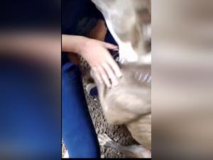 Milly Faz Amor con Perro - Parte 1 - XXX