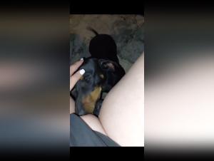 hund beastiality videos