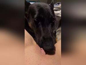 sesso con cane e moglie, liberazione dallo stress