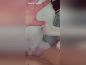  slutt Quick Rub Dog Fuck 