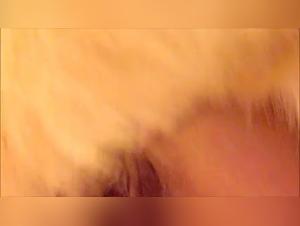 Mature Webcam Dog Sex