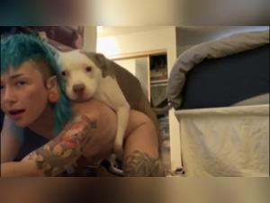 Slut Dogged, Driven to Climax by Her Beast