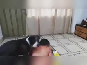 Puta Latina Foca Perro - Video XXX Hardcore