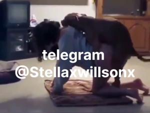 Chica foca perro salvaje