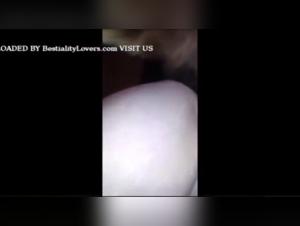 Girl Dog Intense Sex