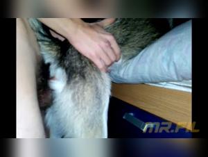 Chica se deja montar por perro salvaje