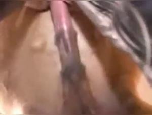 Wild Horse Fuck - Slut Unleashes Frenzy