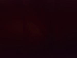 Doggy Desire: Slut Gets Fucked By Her Canine