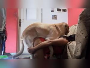 Dog Sex Orgasme: Pute Suce Chien, Dog Cum Intense