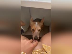 ImaKnottyGirl Baise Chien - Vidéos X