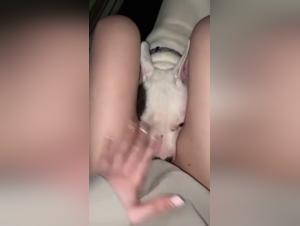 Salope baise chien vidéo X