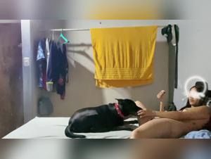 Filles baisées par chien, Reactions 128/144