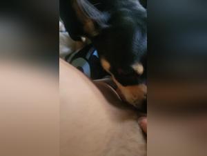 Slut Dog Fucks Part 1