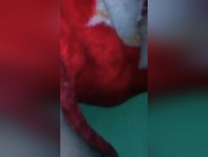 Schlampe V Sex mit Hund [XXX] Neue Quelle