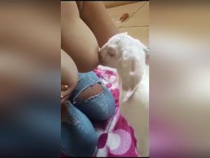 Goat Mom Nursing Baby - Extreme Porn Videos