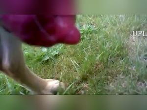 Yuyu Nekomura Deepthroated by Dog