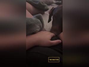 dégustez son sexe licked par chien, porno hardcore