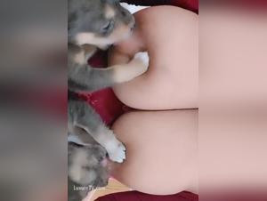 Dog Devours Woman