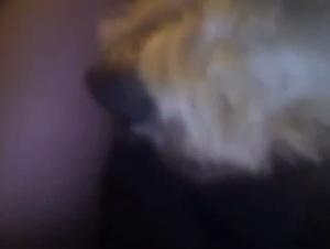 Bitch Fucked By Dog - Extreme Porn