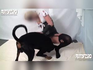 Dogg Pound Domination - BFI Dfdv023