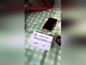 Kona kína leifur hundur, víkinn