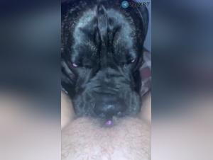 Kona Hundur - Vídeó XXX