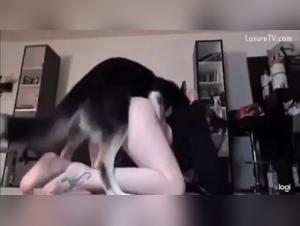 Sexyannabelle Scopa Cane 1