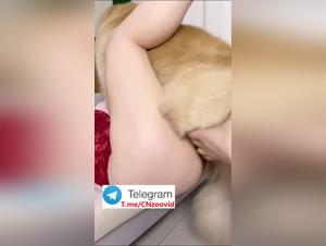 Milly Chien Baise Vidéo XXX Partie 3