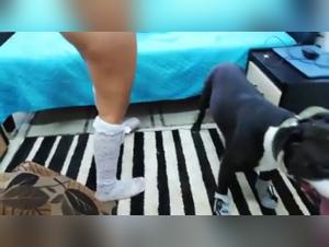 Milly Dog Sex Part 1