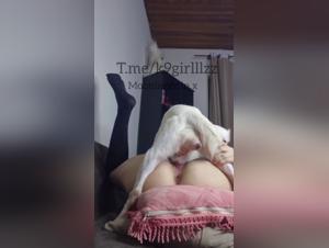 Dog fucks slut hard