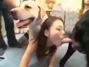 Mylène e i Cani: Lussuria Bestiale