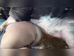 Ariel - Révision Anale - Chien Fou