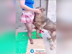 Kinesisk kvinne dyrker med hund 1