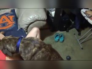 Salope Baise Chien 1