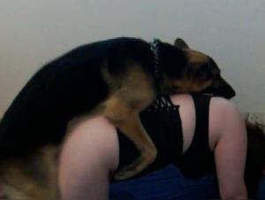 lécher et baiser une chatte mouillée, hardcore