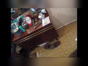 personal video: girl gets fucked by her dog